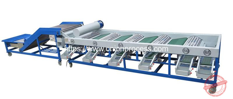 Large-Feeding-Hopper-Onion-Size-Grading-Machine